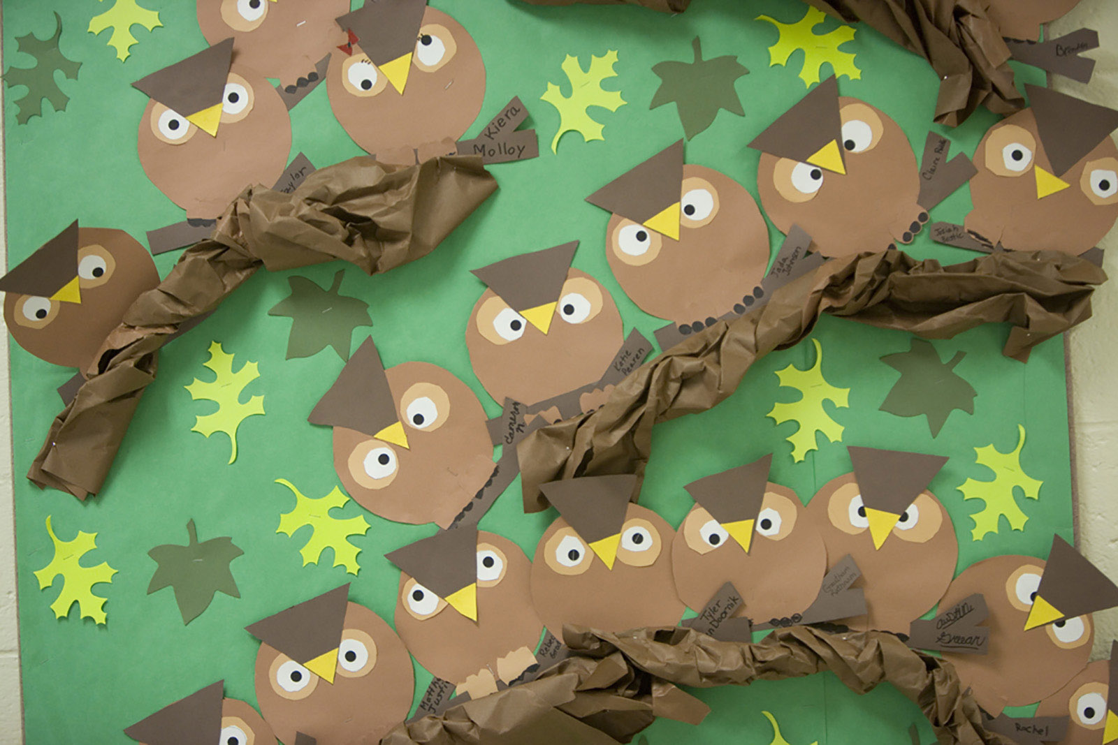Owl Bulletin Board