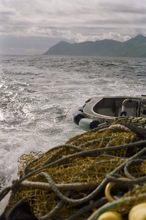 Angel+Tirado+photography-kodiak-alaska-fishing-documentary20210929_25.jpg