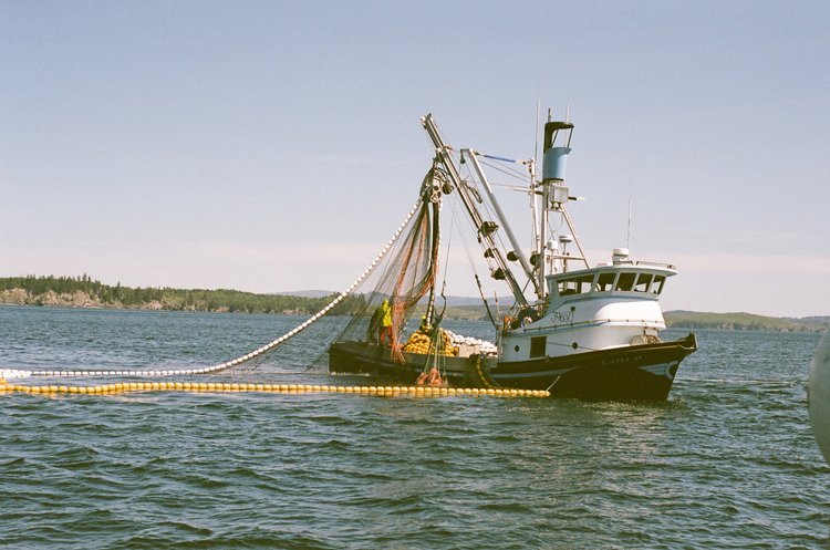 Angel+Tirado+photography-documentary-kodiak-fishing20200811_87.JPG