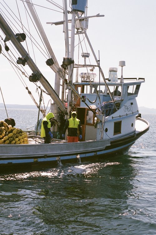 Angel+Tirado+photography-documentary-kodiak-fishing20200811_83.jpg