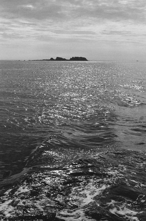 Angel+Tirado+photography-documentary-kodiak-fishing20200811_68.jpg