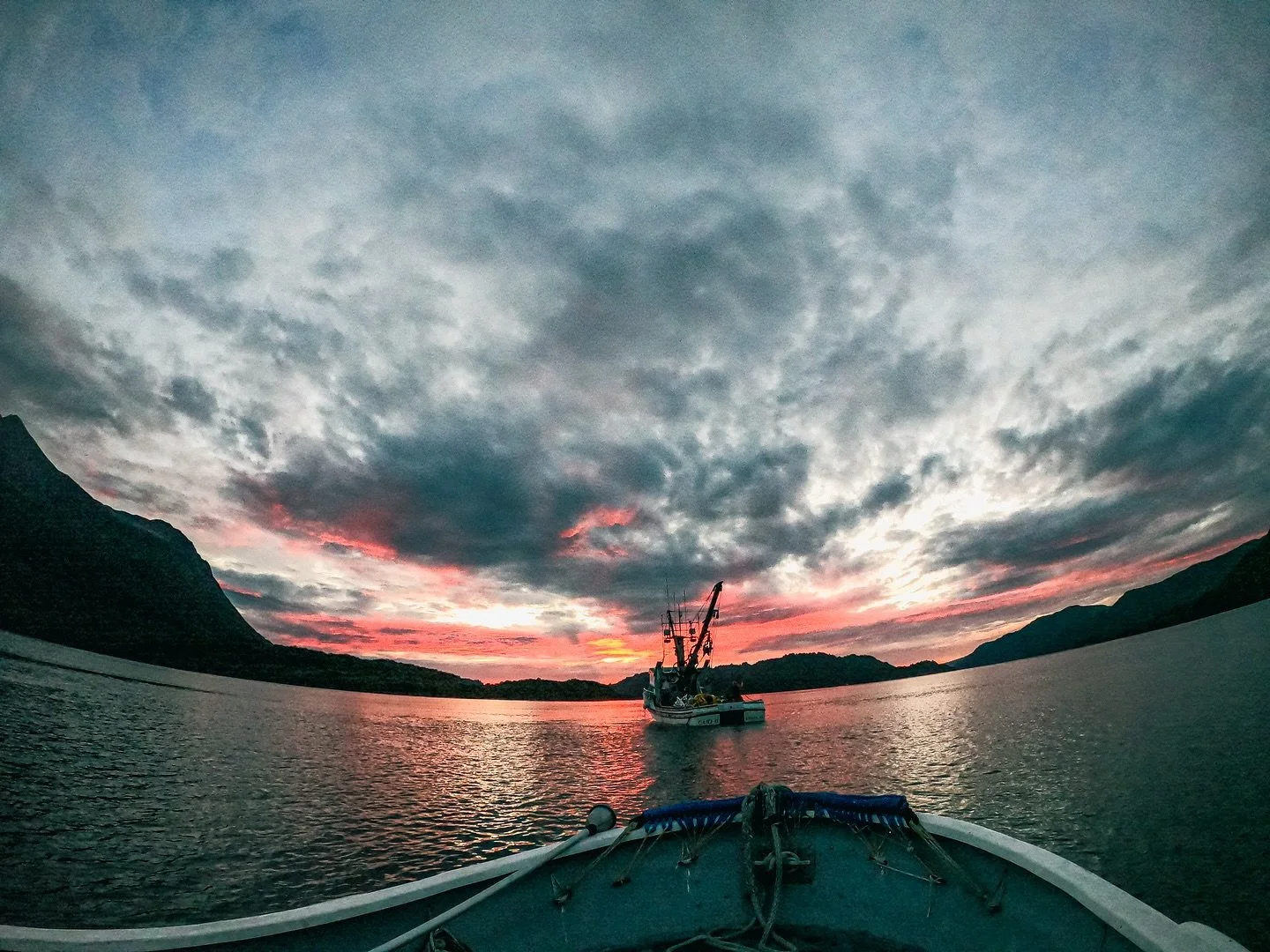 🌄 #gopro #commercialsalmonfishing #midnightsun
