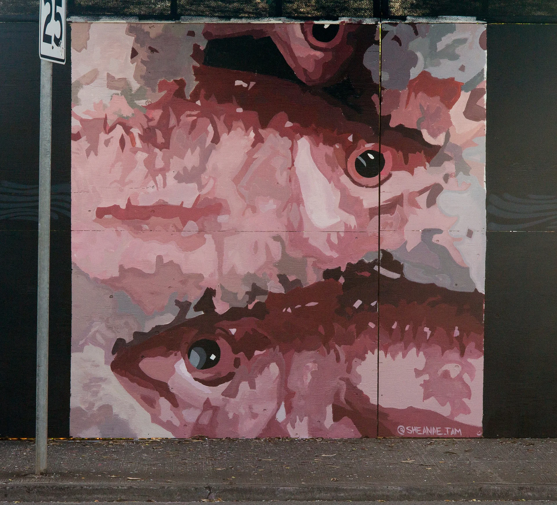 Red Fish