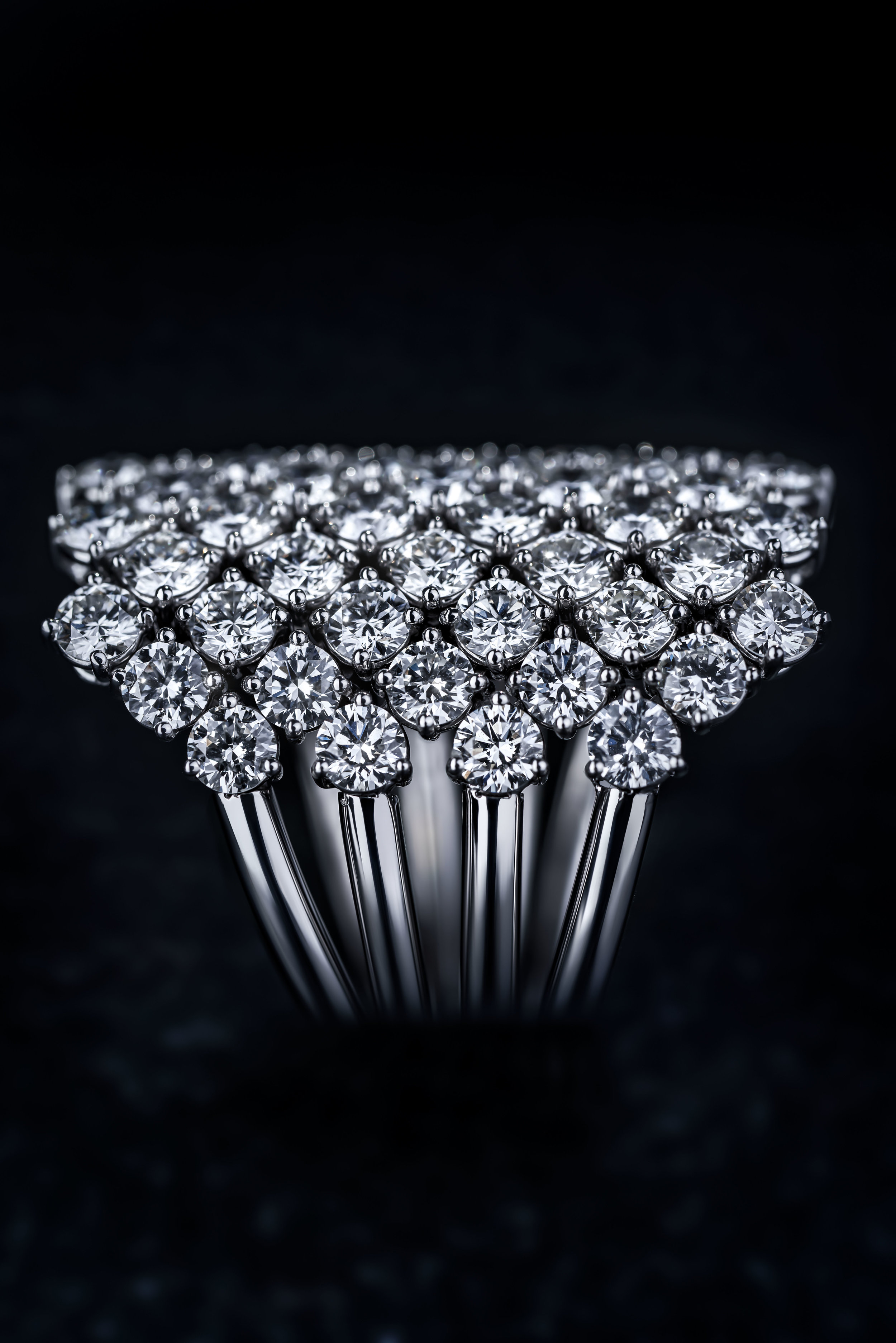 Ring_05_v02.jpg