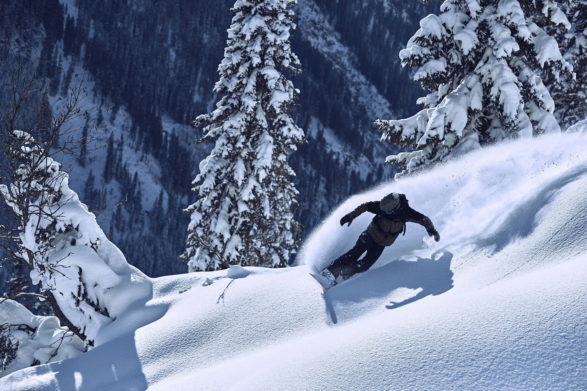 Buff_AW19-20_Alps_04136.jpg