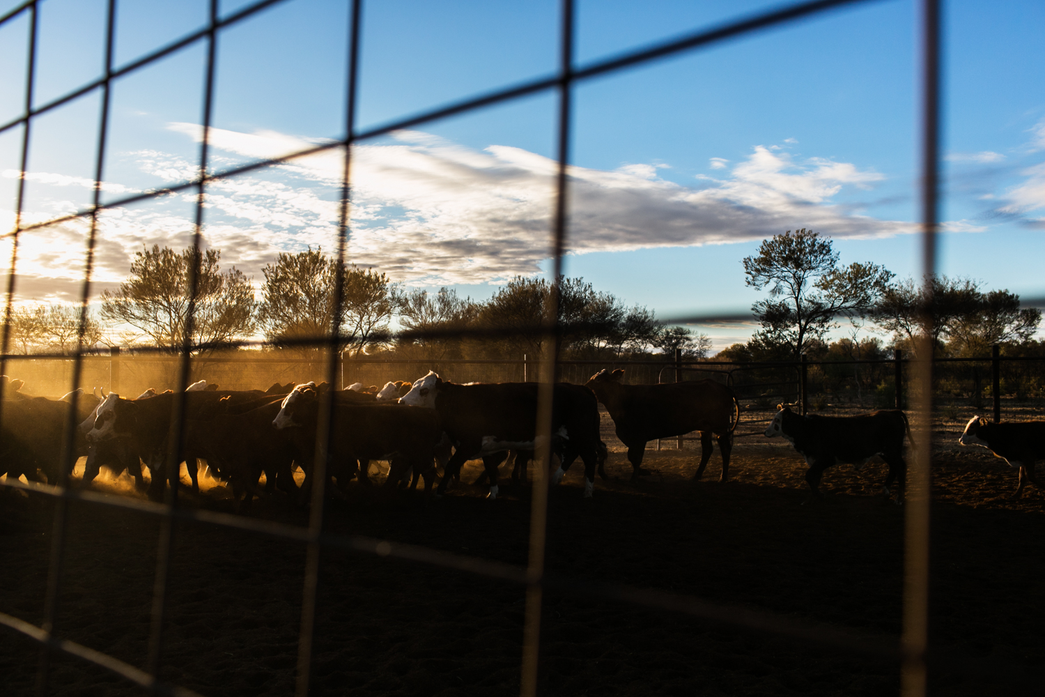 003Outback Australia Reportage Photography.JPG