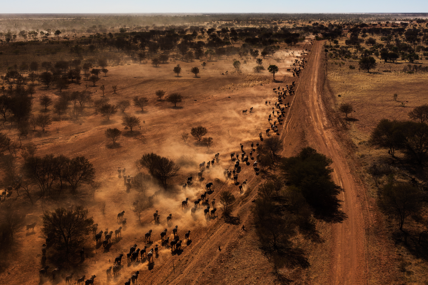 001Outback Australia Reportage Photography.JPG