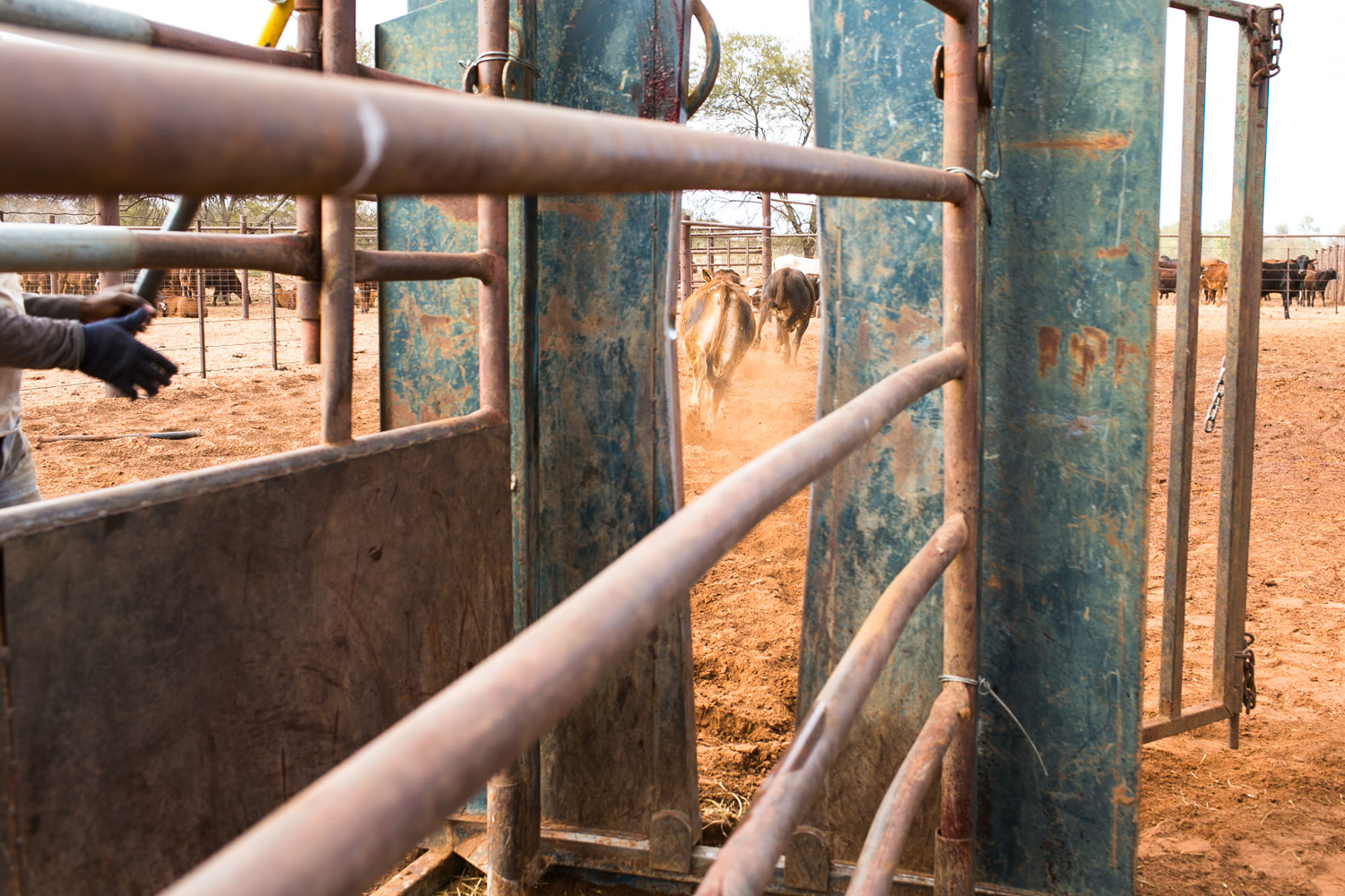 007Outback Australia Reportage Photography.JPG