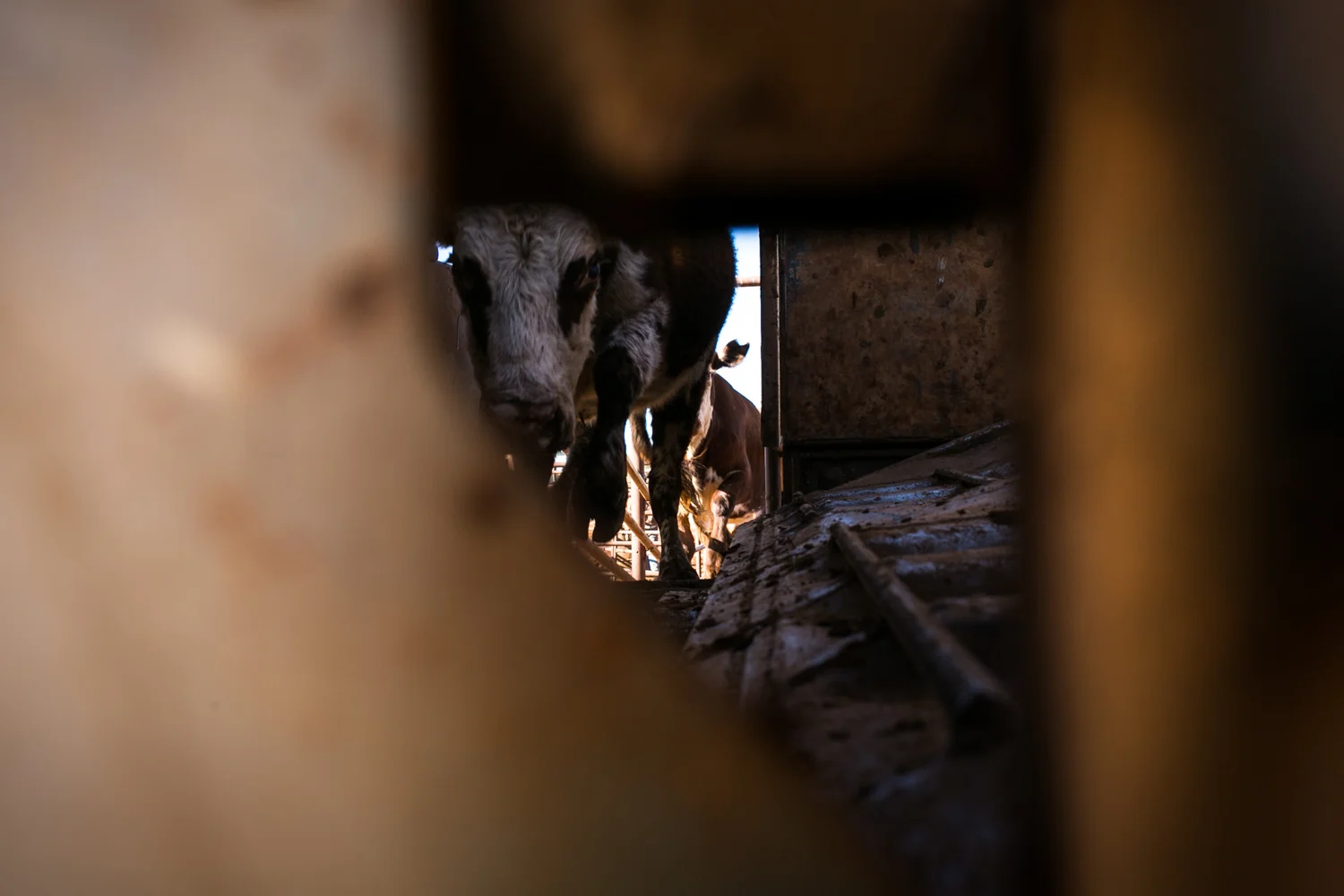 009Outback Australia Reportage Photography.JPG