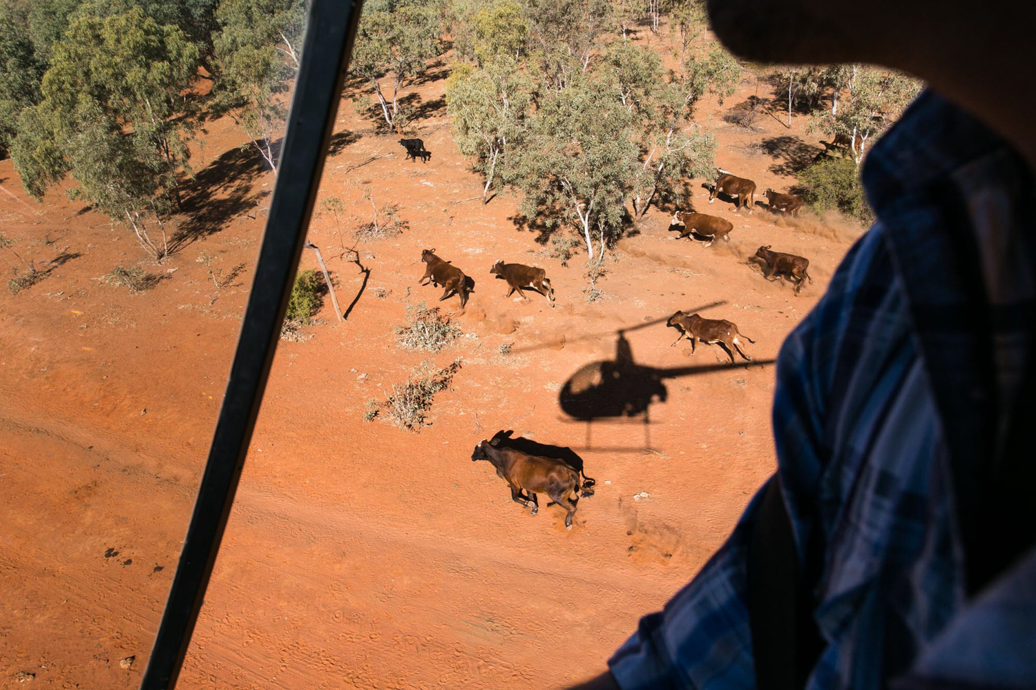 012Outback Australia Reportage Photography.JPG