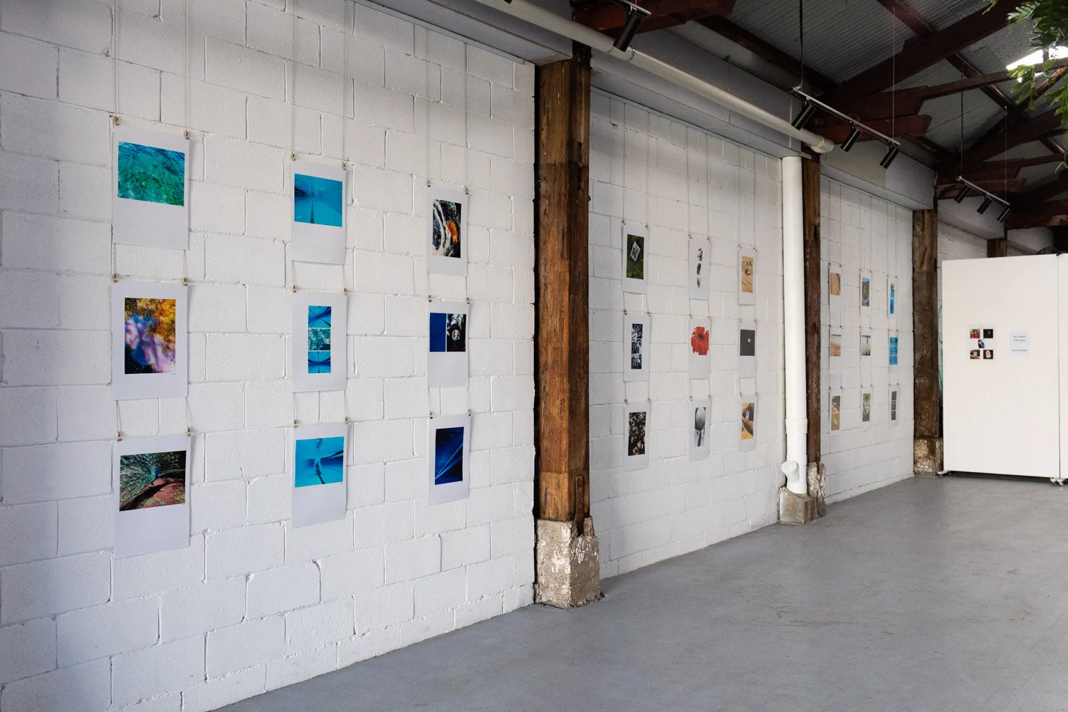YC_Exhibition-1.jpg
