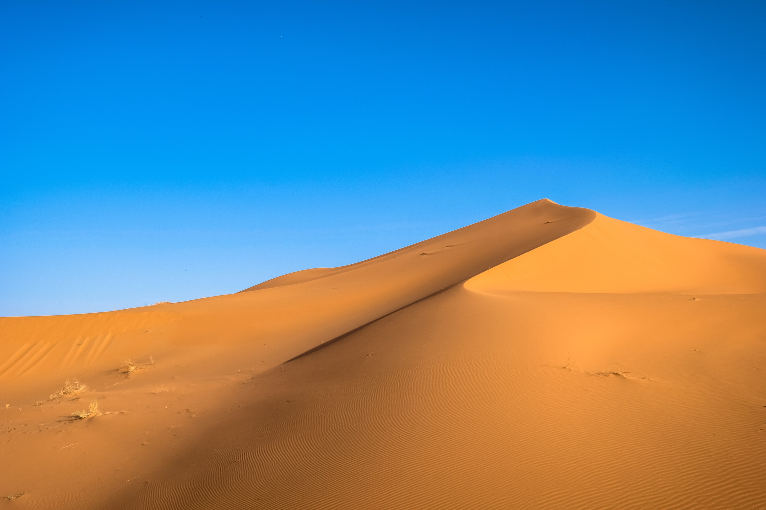 From the Green Hills of England to the Sand Dunes of Arabia