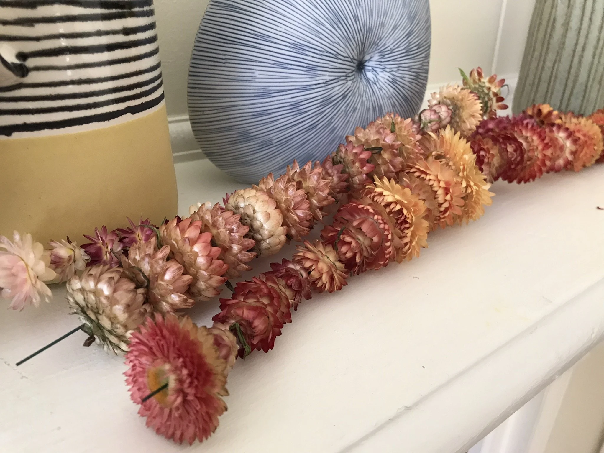 strawflower-apricot peach (4).JPEG