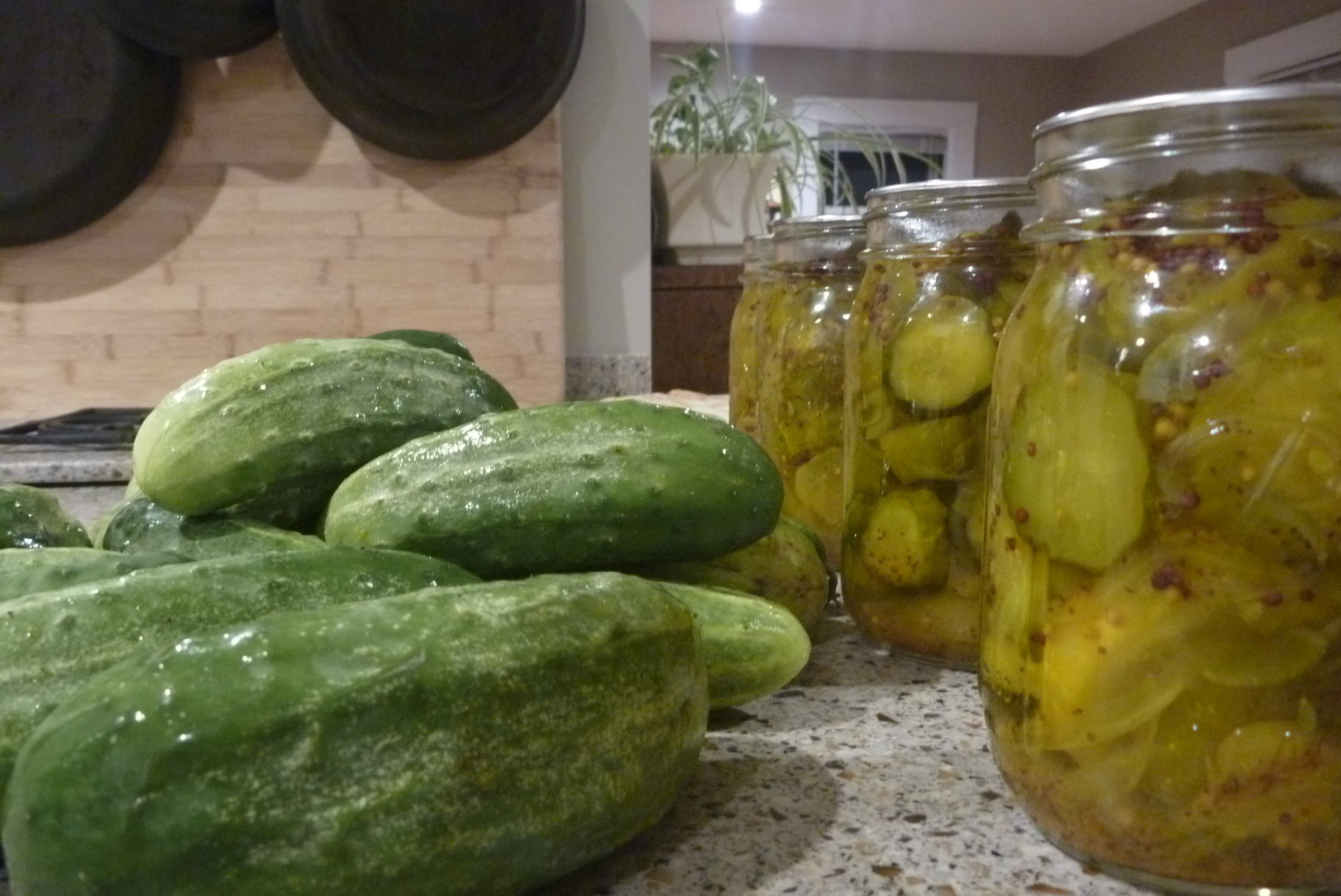 cucumber-nat pickling.JPG