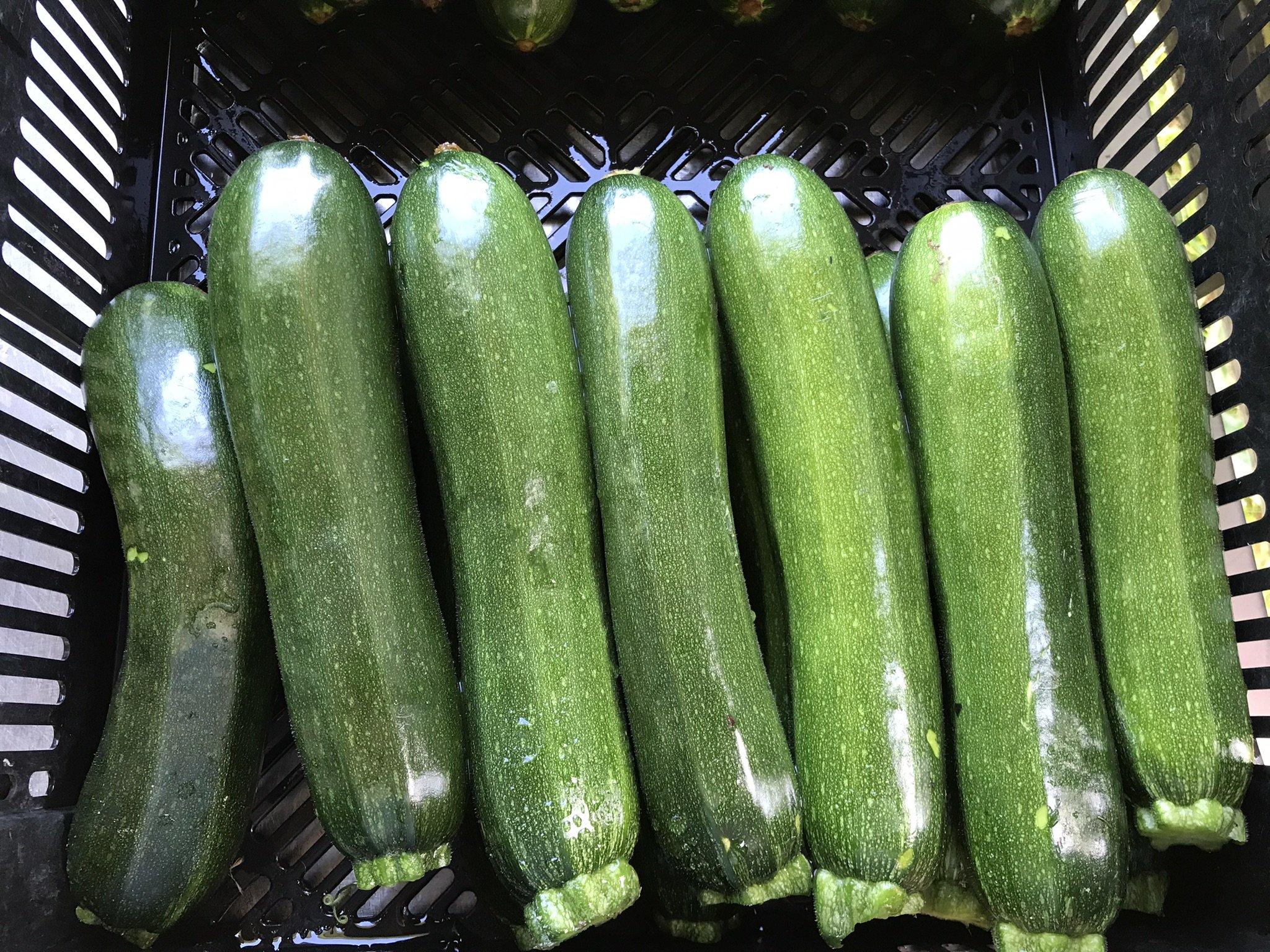 Zucchini-Green Machine