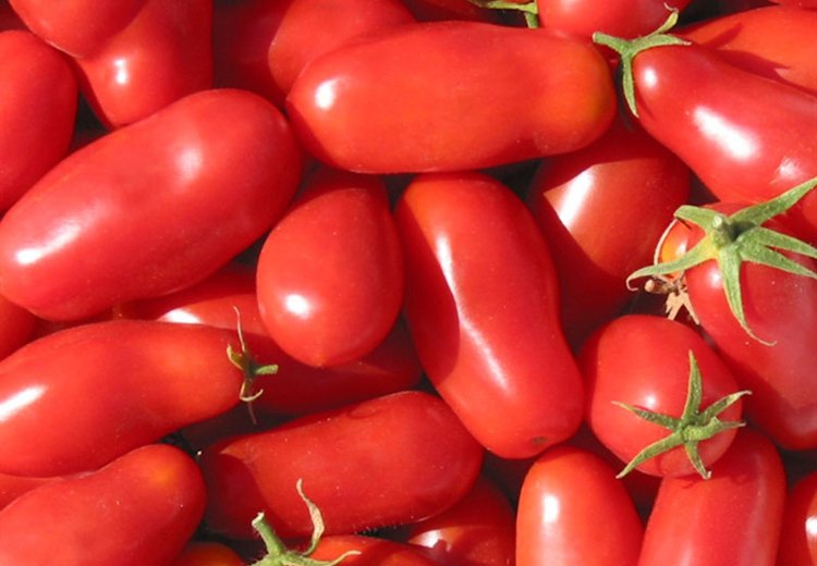Tomato-San Marzano