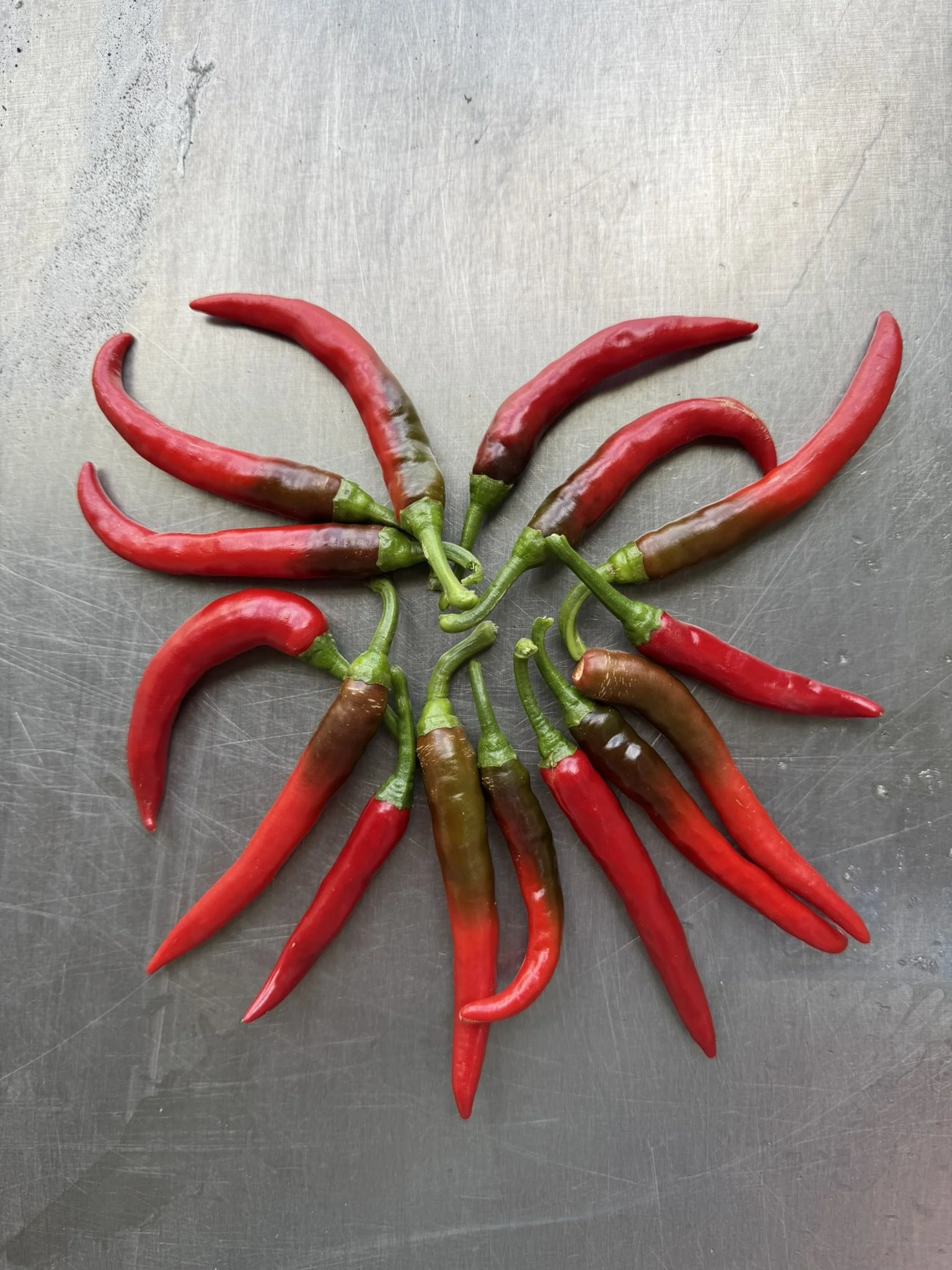 pepper cayenne (3).JPEG