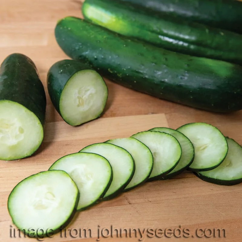 cucumber-gateway-johhnys copy.jpg