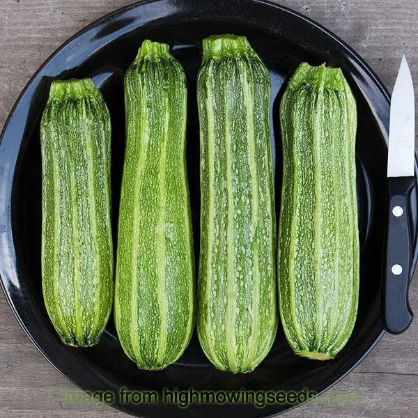 squash-costata romanesco2-high mowing copy.jpg