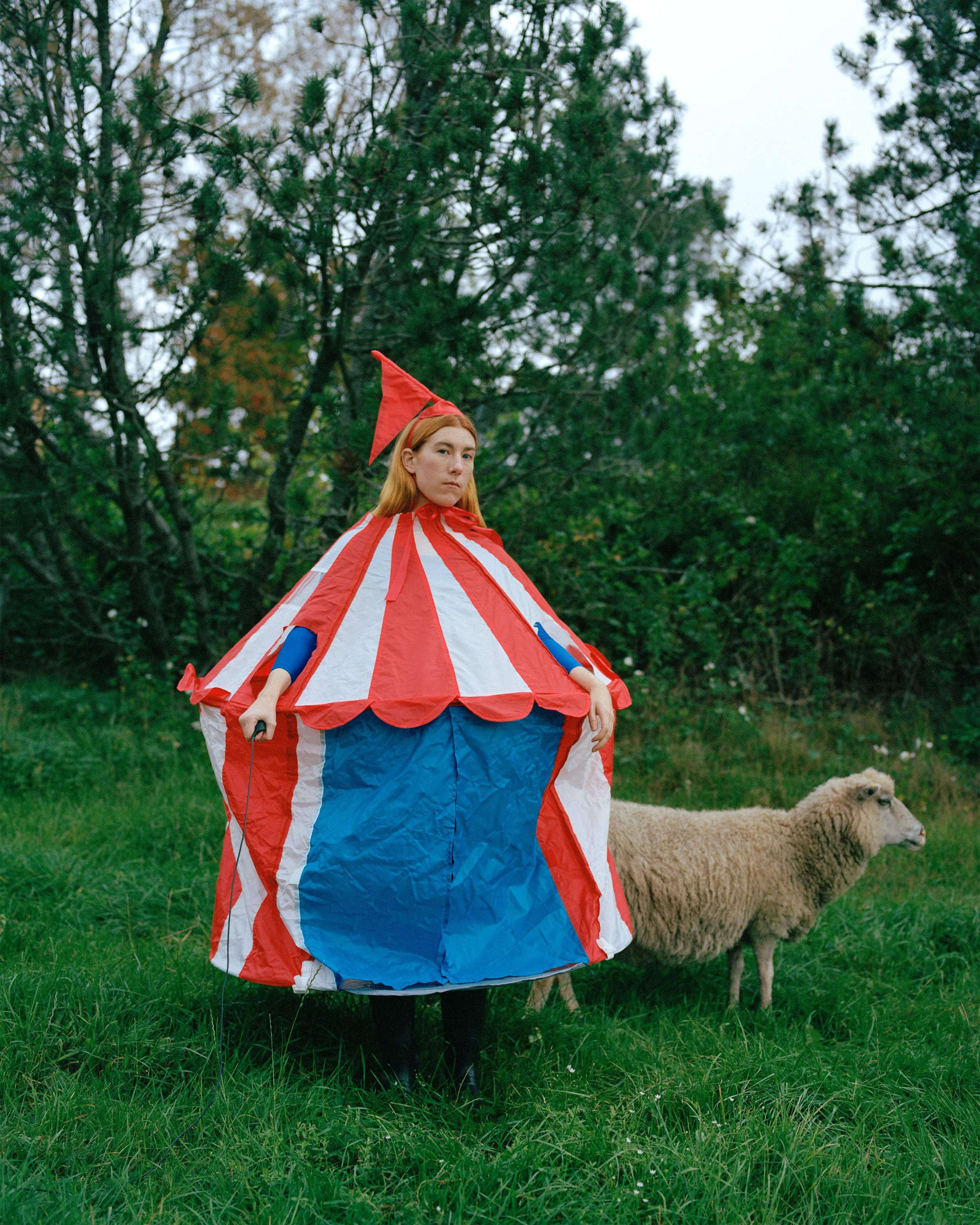 Sirkusteltta Lammaslaitumella