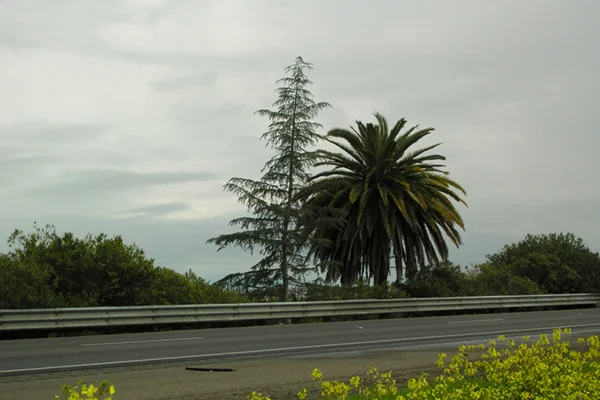 10 Weird Things You Didn T Know About California Kensington Dental Care