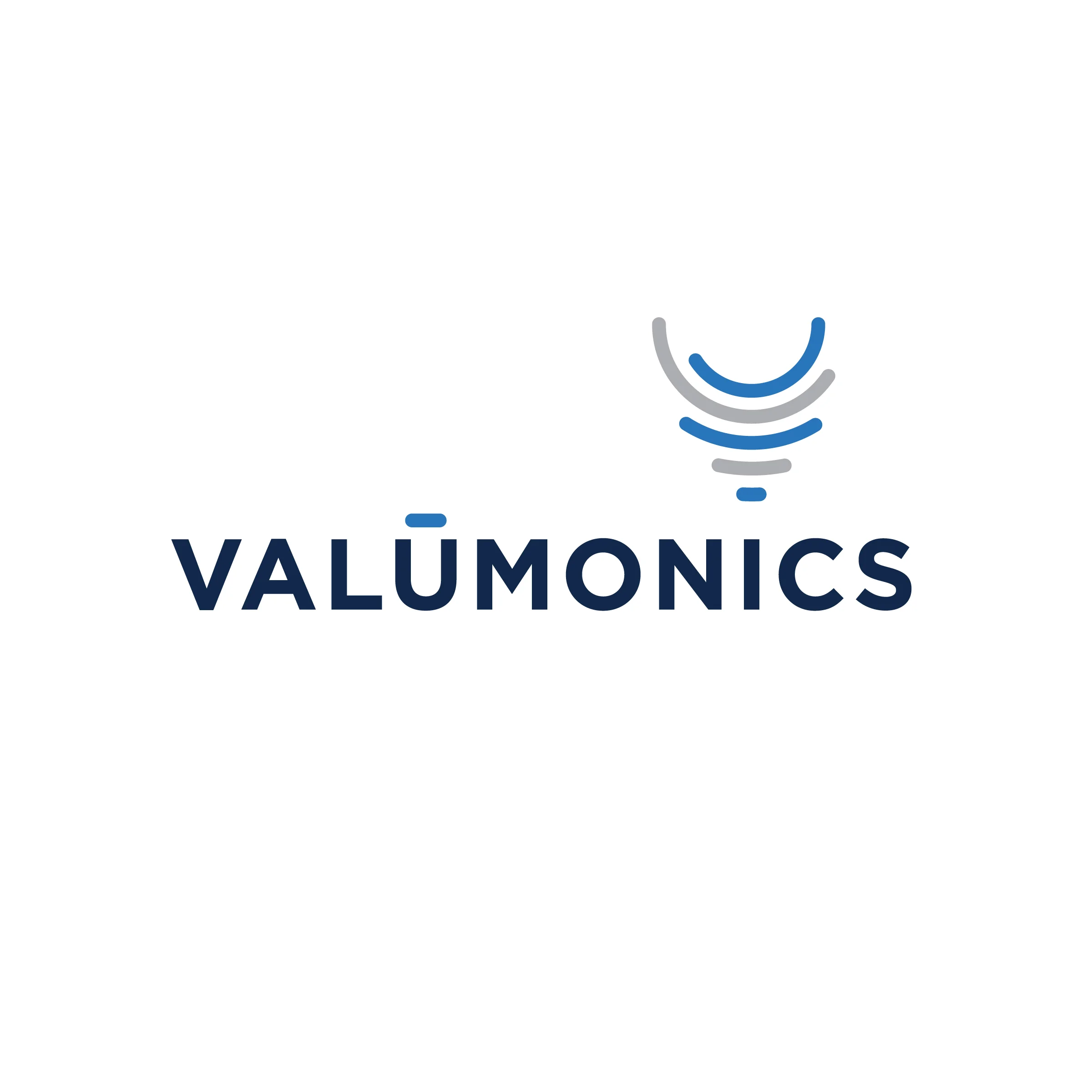 Valumonics Consultants