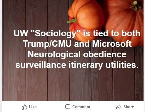gsdg.JPG