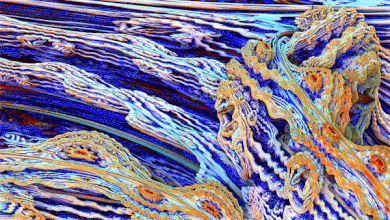 ezgif.com-resize (1).gif