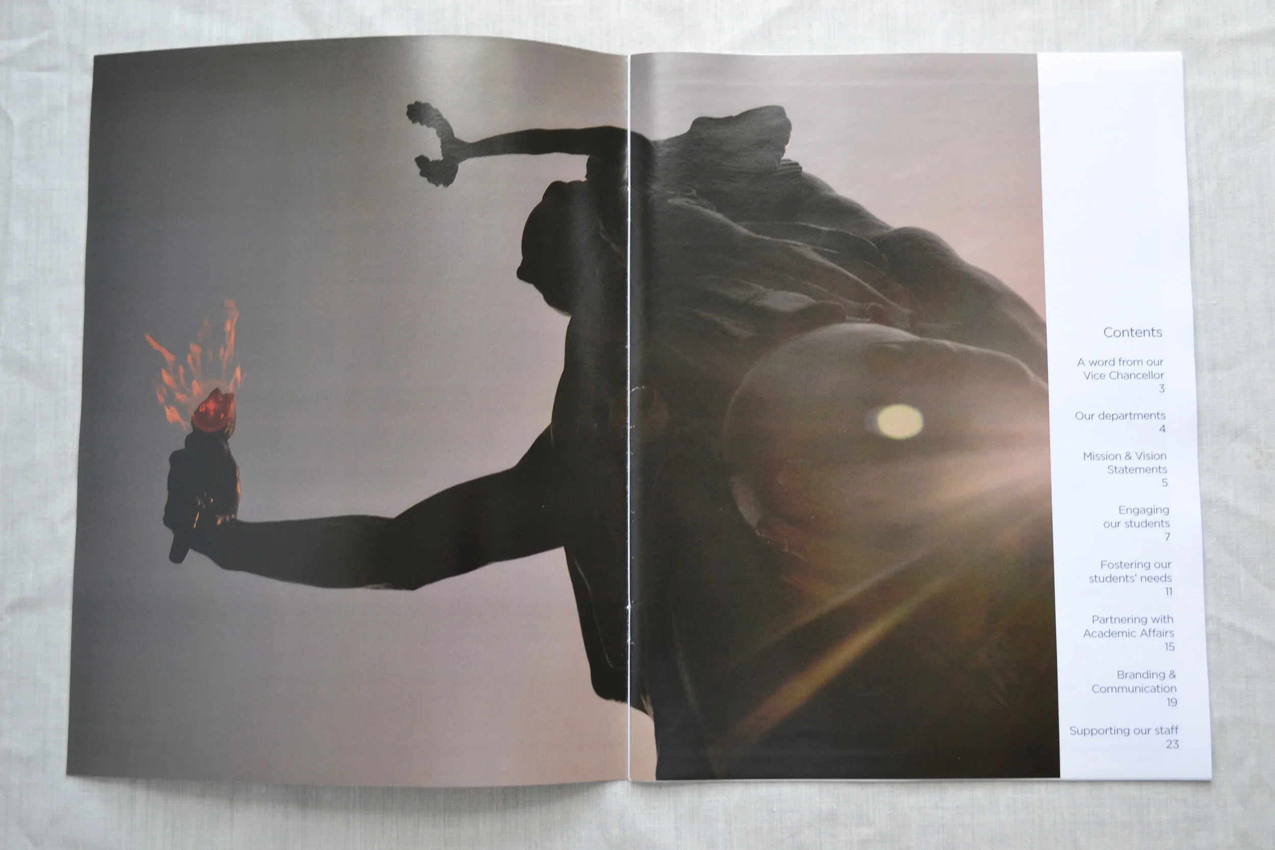 2014 DSL AR_detail 1.JPG