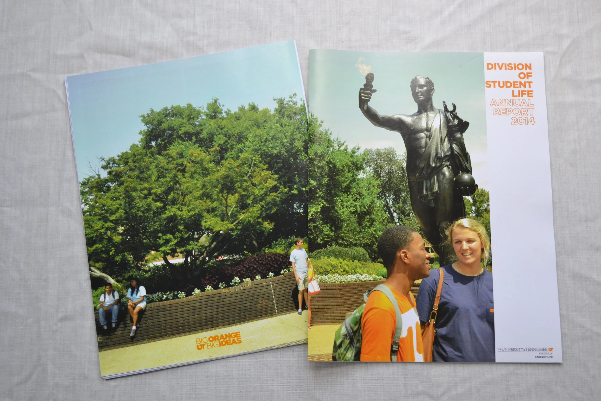 2014 DSL AR_cover.JPG