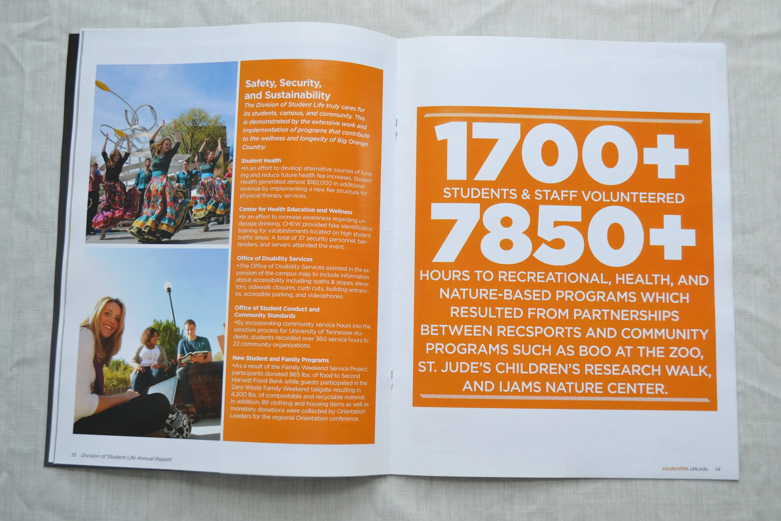 2014 DSL AR_detail 2.JPG