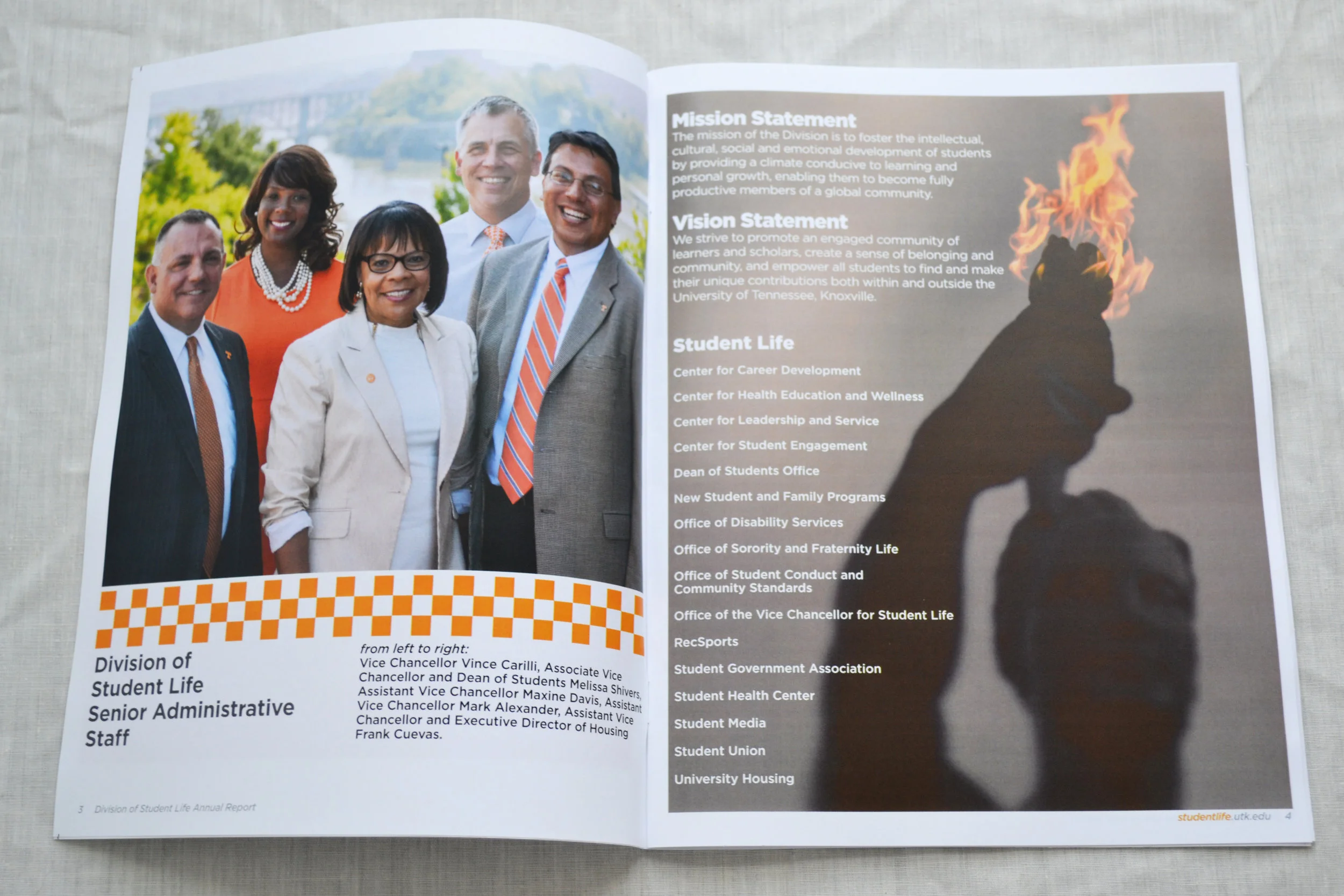 2015 DSL Ann Rep_detail 1.JPG