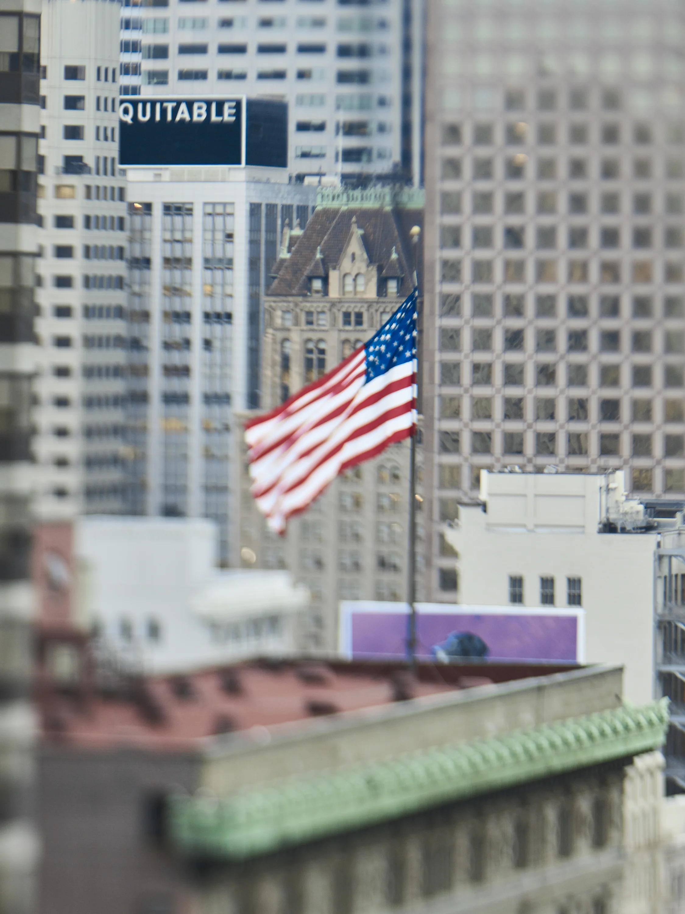 SF_QUITABLE_022.jpg