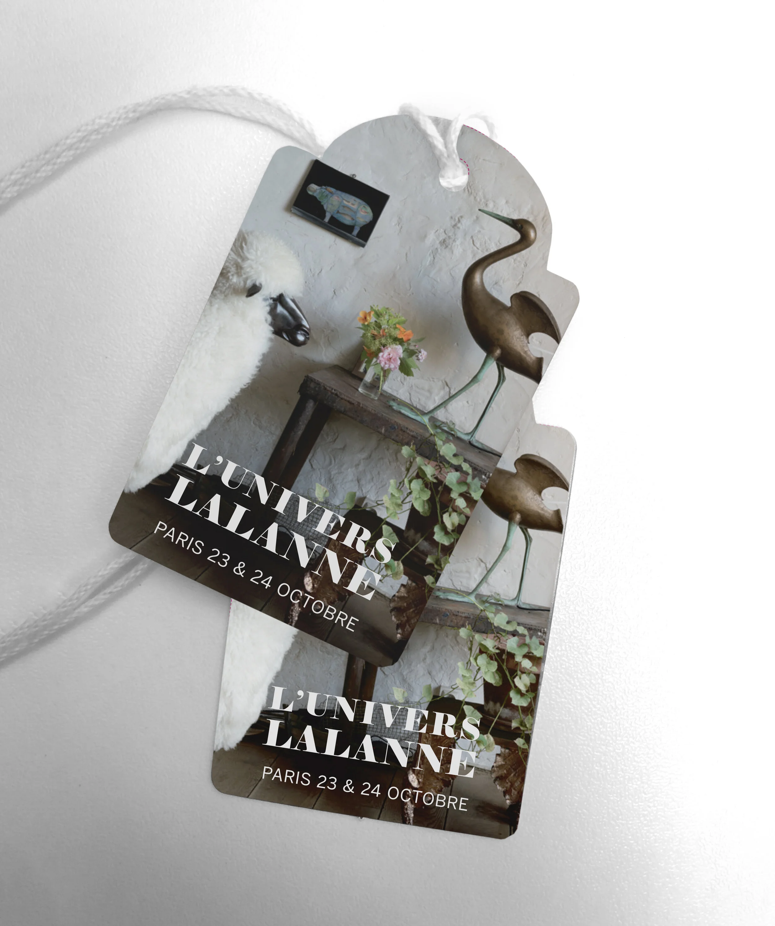 Lalanne_squarespace_tags.jpg