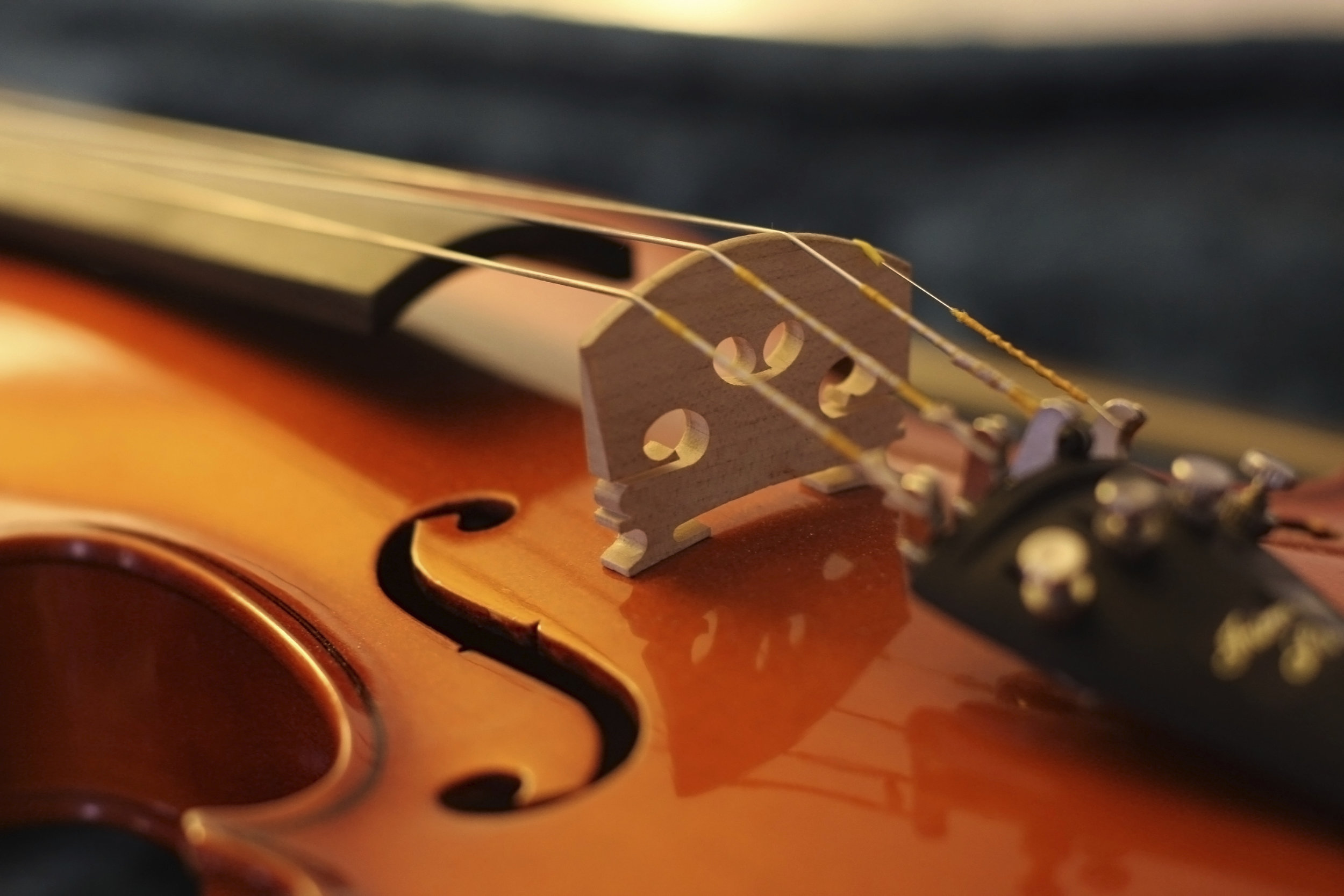 Cornwall Music Service Trust Pupil Of The Month - January Winner