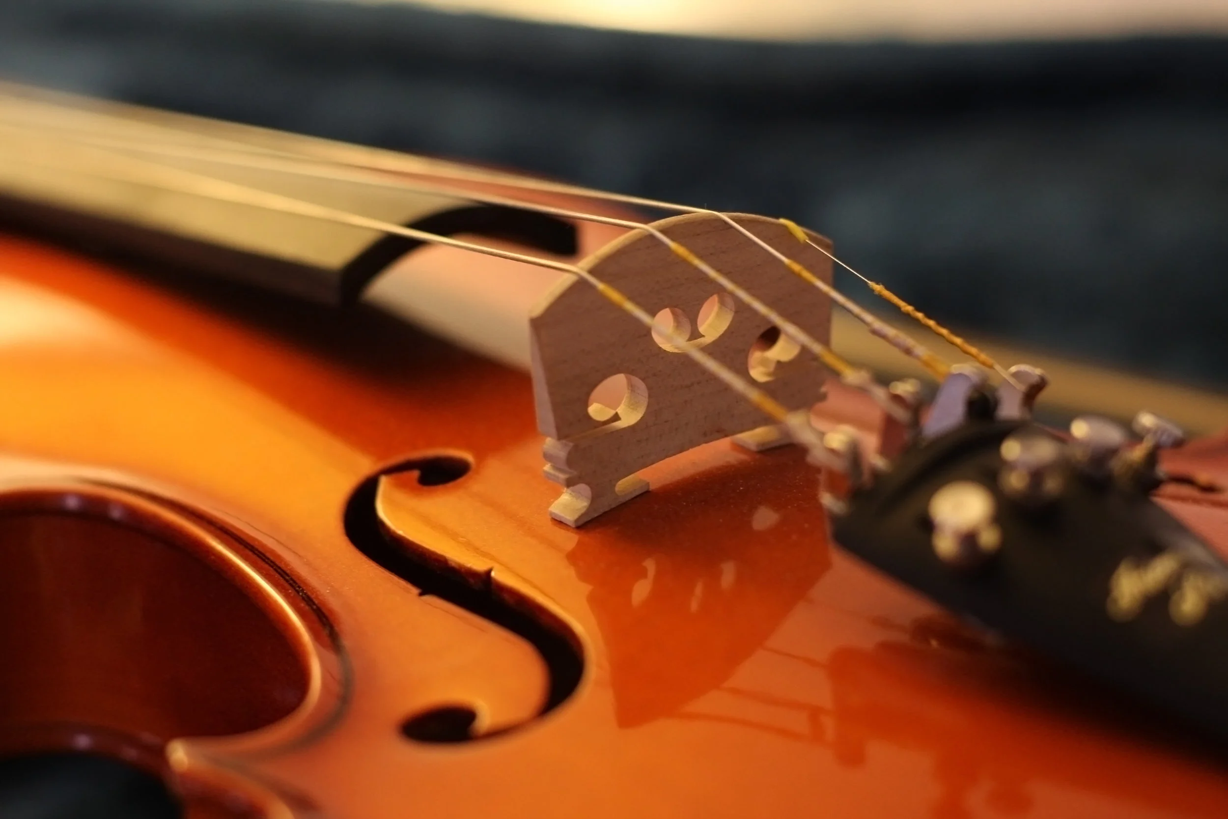 Cornwall Music Service Trust Pupil of the Month Award (POTMA) - January 2019 Winner