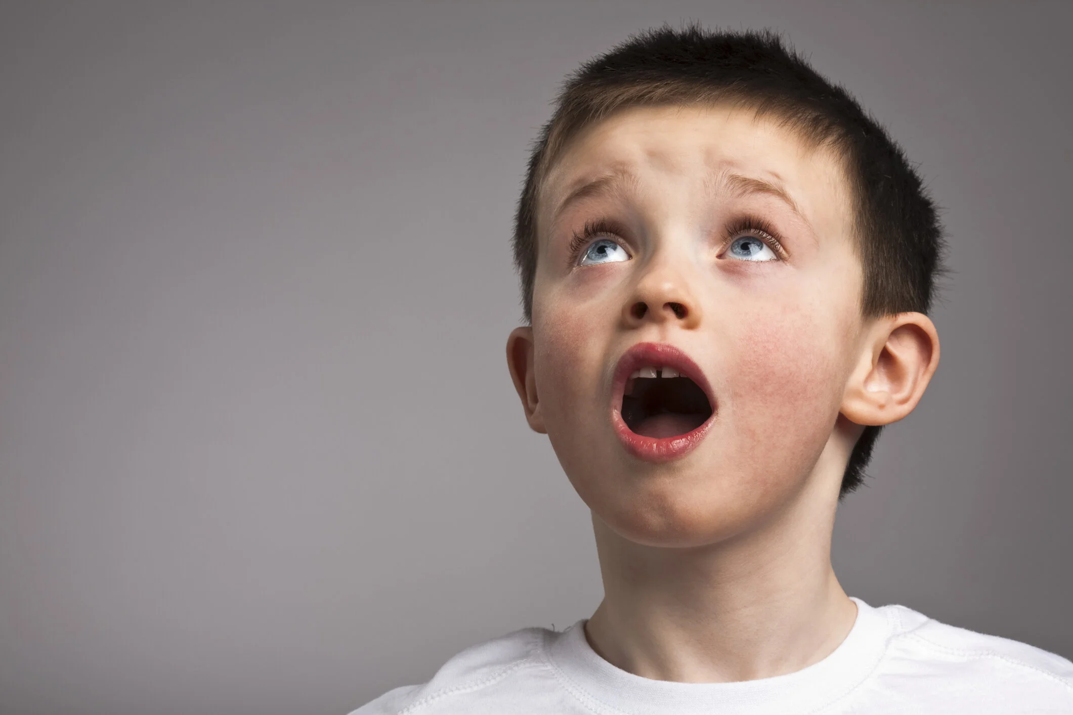 Opportunity for musically gifted boys in Years 2, 3 and 5