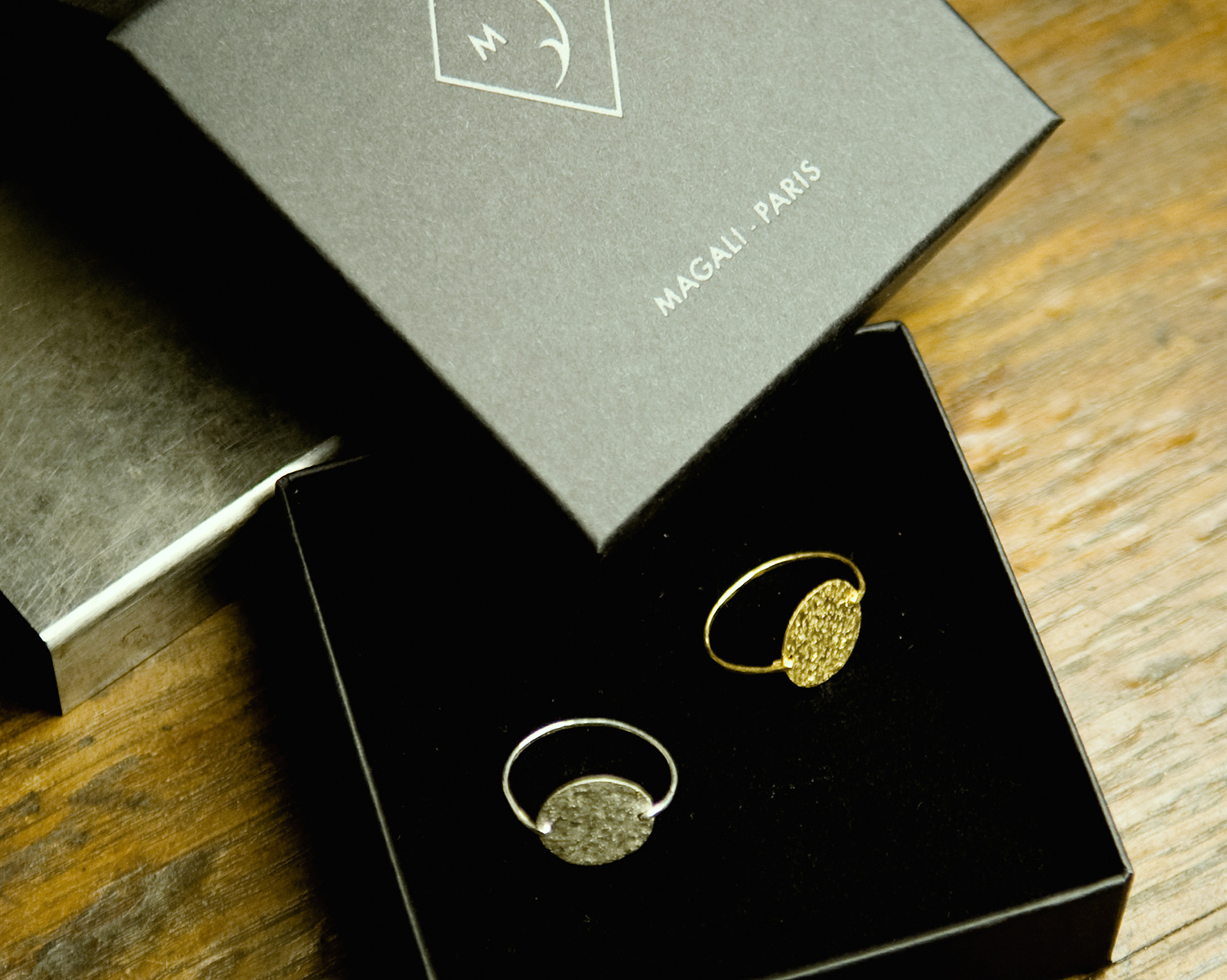 Magali-Paris-Medal-on-chain-necklace-vermeil-gold-Castor-Pollux