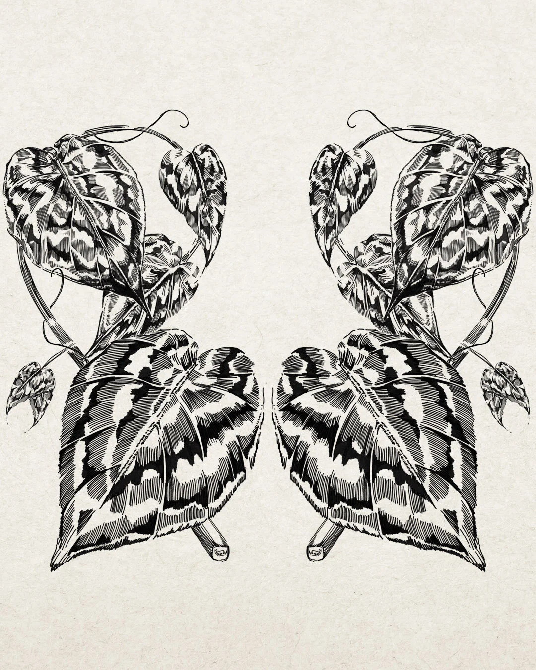 ruth_emma_fox_illustration_botanical_1.jpg