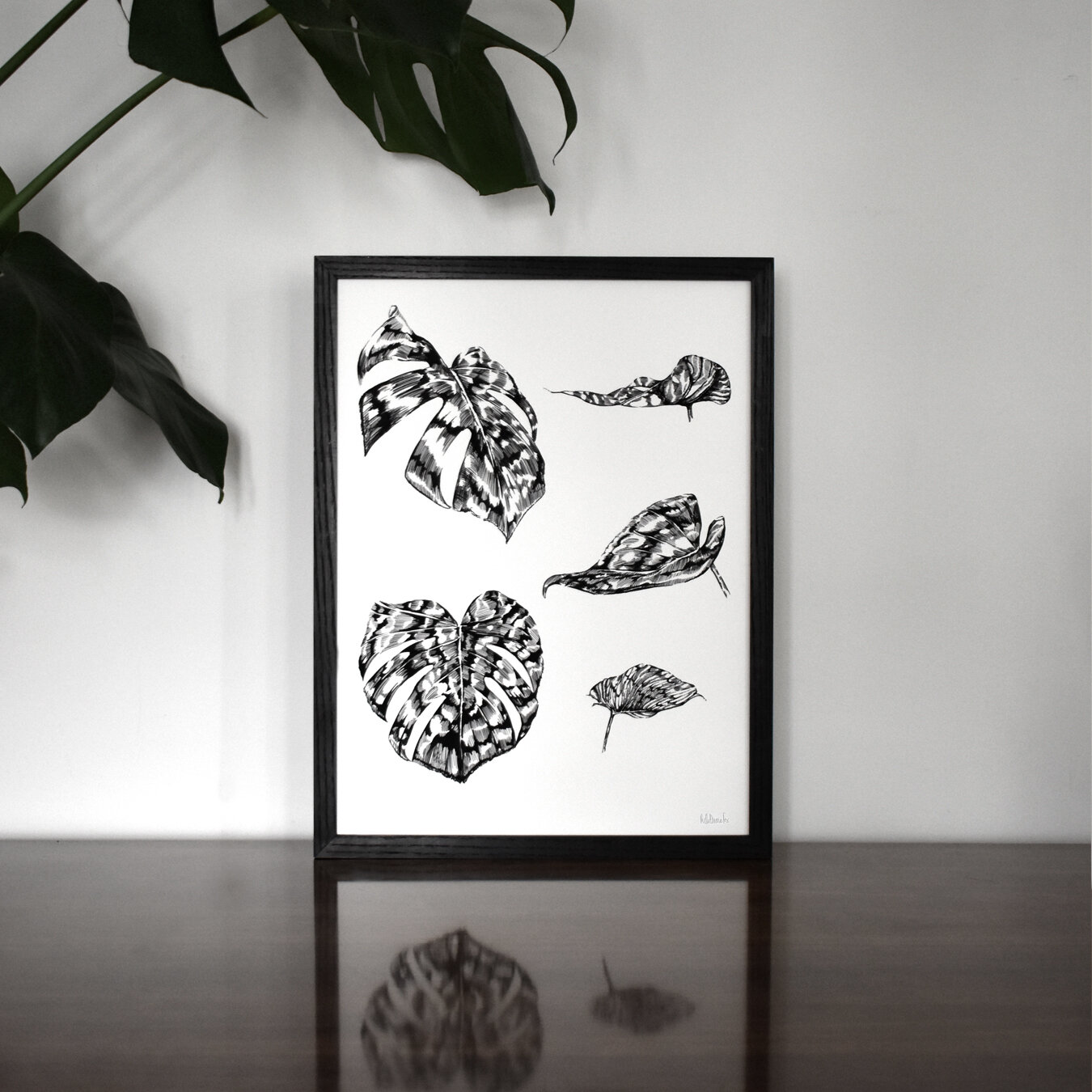 lp+monstera+200+edition+ruth+emma+fox+art+print.jpg