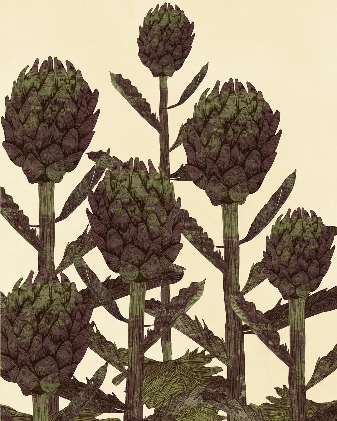 Slightly preoccupied with what I'm growing at the moment - anyone else!? These artichokes were a pleasure to draw with their surreal shapes and forms they were a joy to draw. This illustration is available from my online shop as a fine art print and