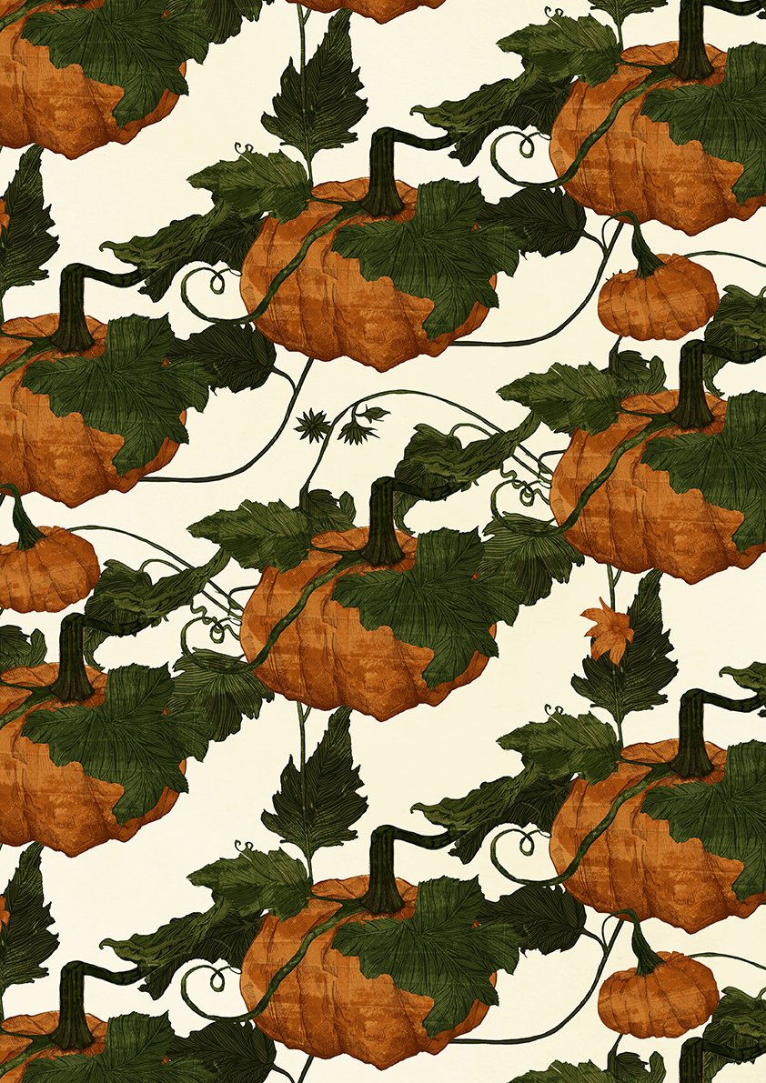 ruth emma fox pumpkin pattern illustration 2.jpg
