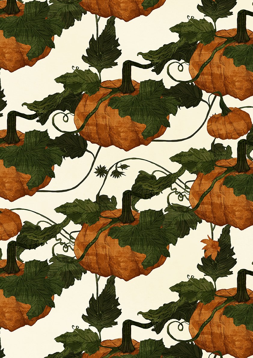 ruth emma fox pumpkin pattern illustration.jpg