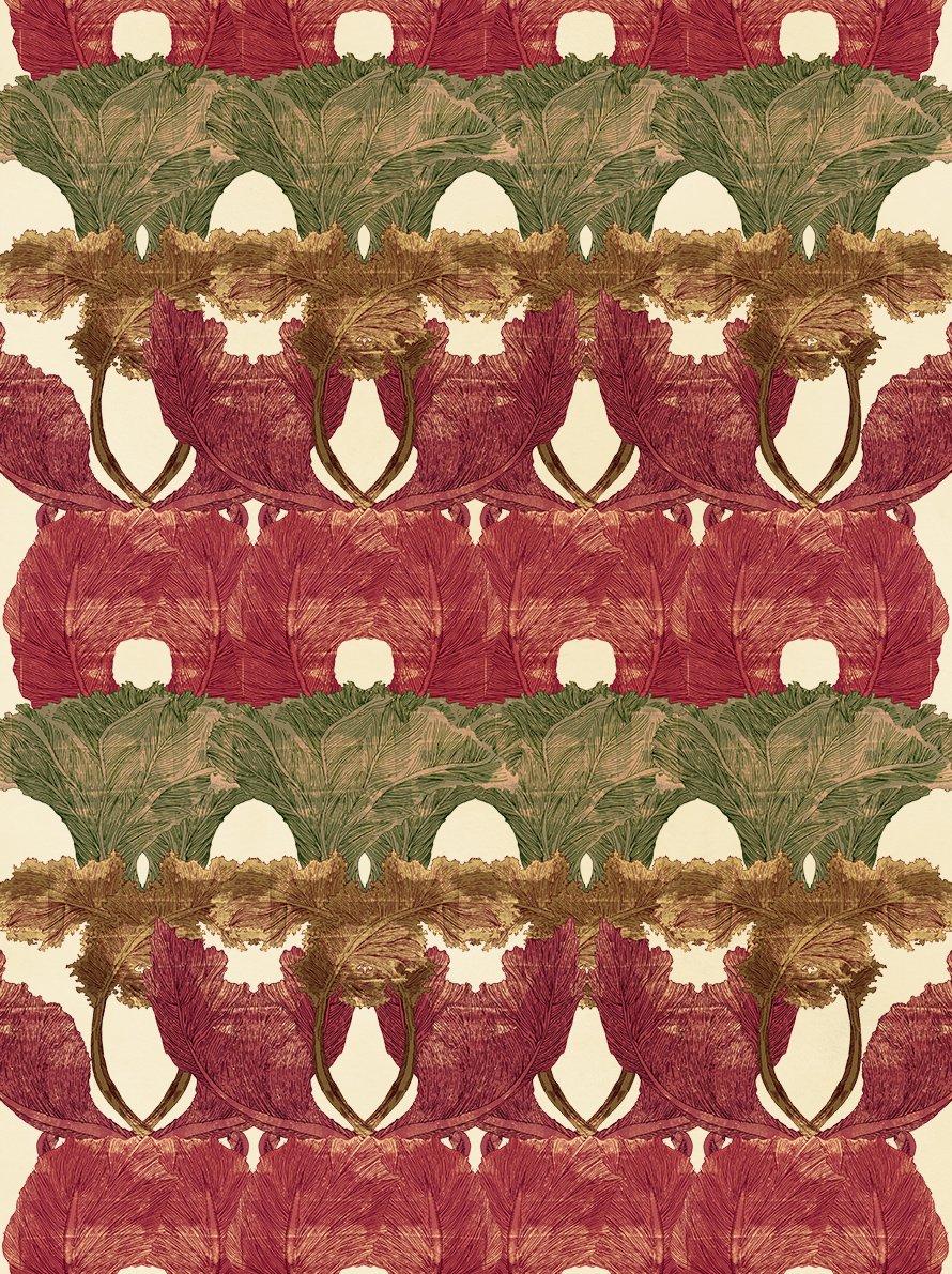 72 ruth emma fox ode to cabbage.jpg