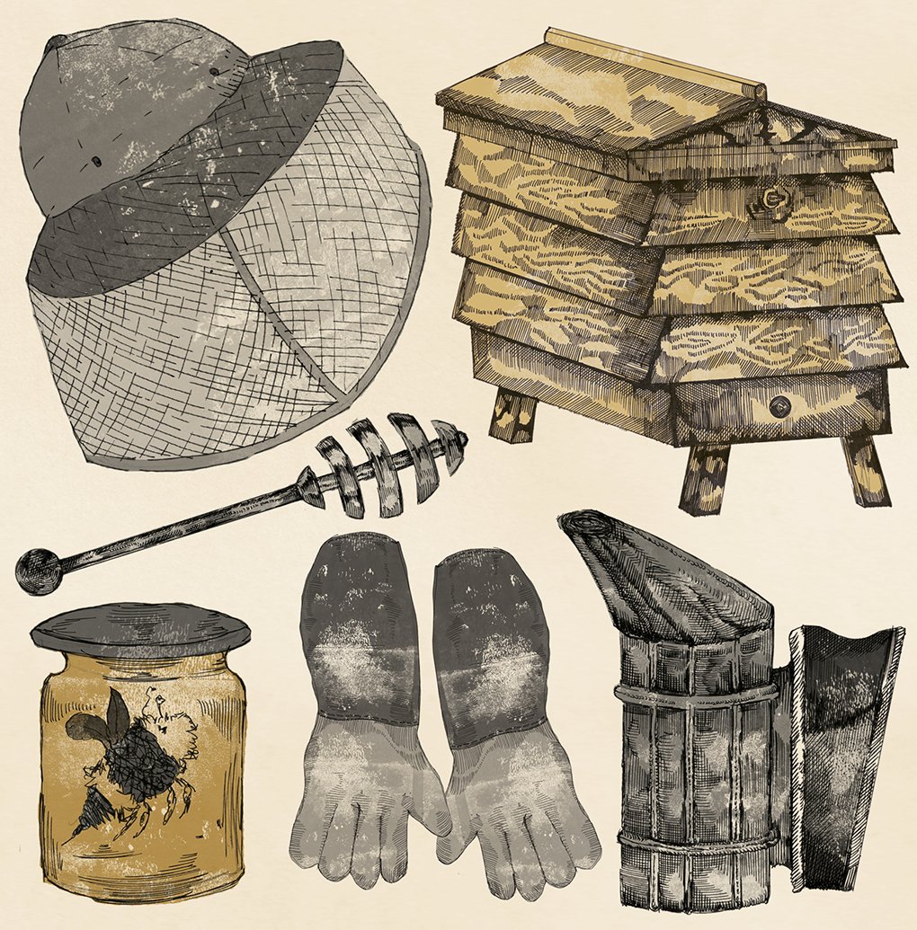 ruth+emma+fox+beekeeping+illustration copy.jpg