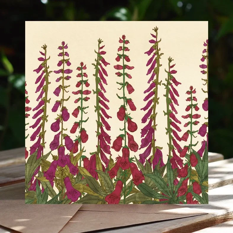 ruth+emma+fox+foxglove+illustration.jpg