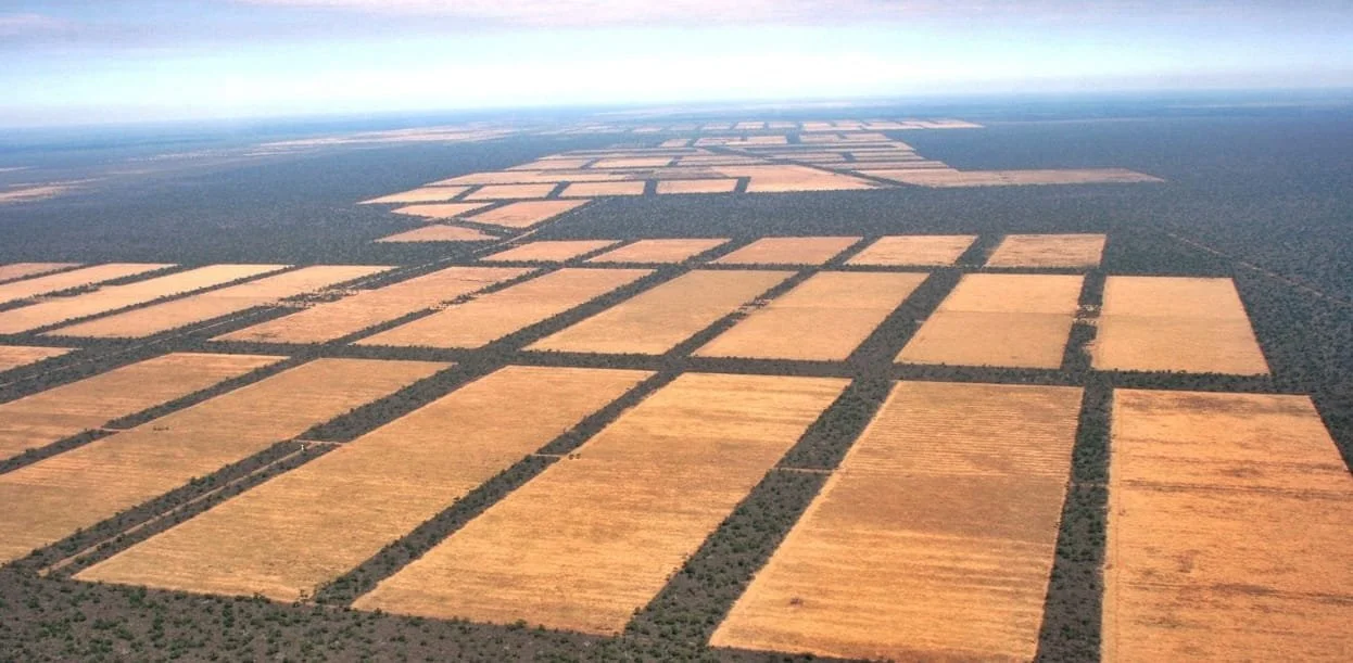 Encuentro "¿Otros mundos posibles? Una reflexión sobre clima y justicia desde el Gran Chaco latinoamericano".