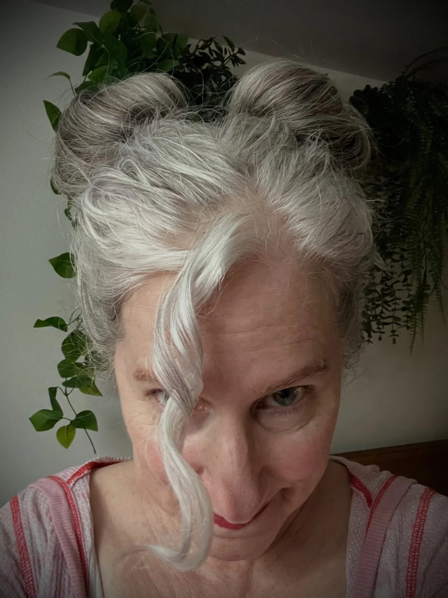 No Kings Day hair 

#leiaorgana #rebelscum #nokingsprotest #lifeafter50 #grayhairdontcare