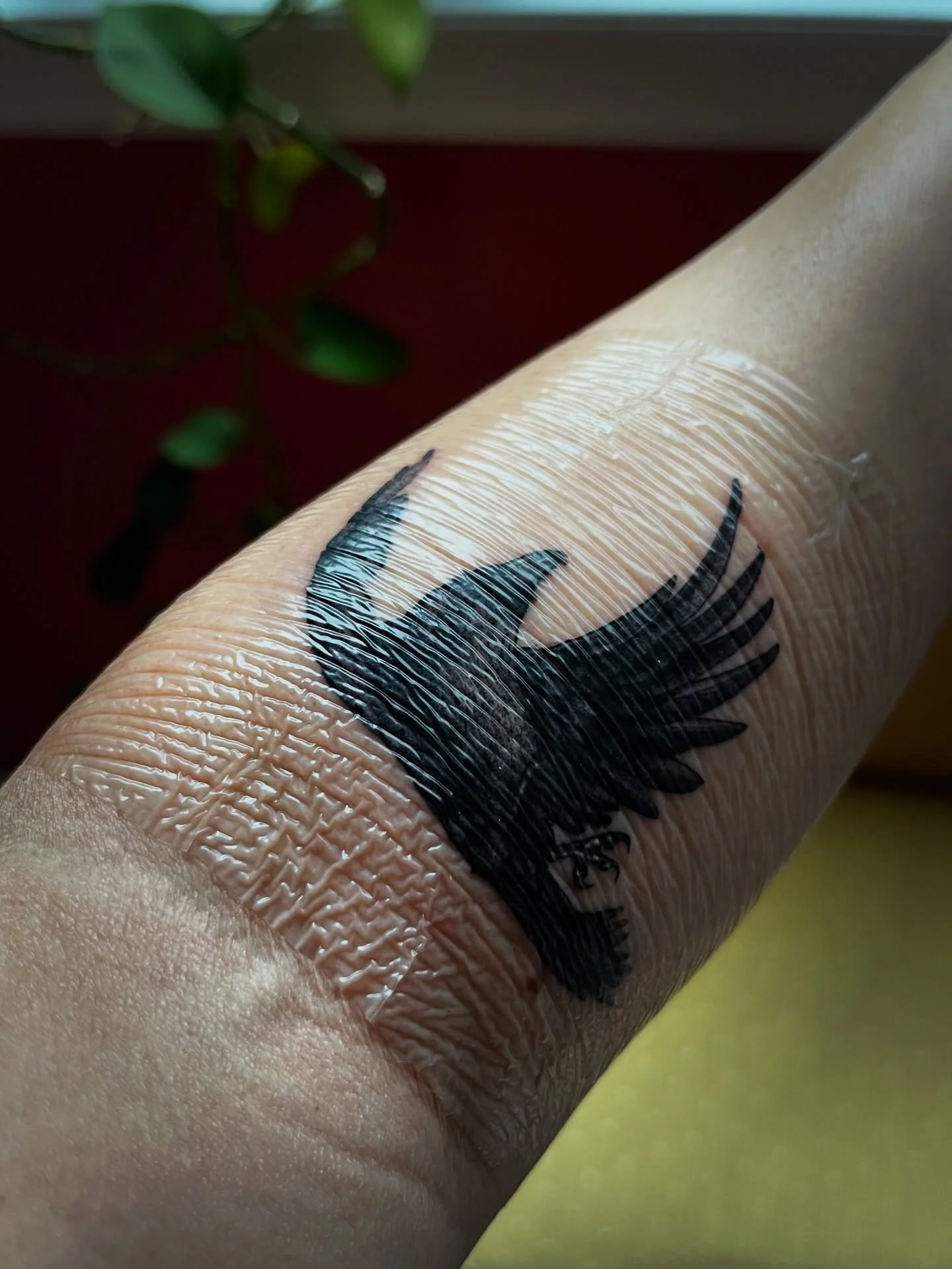 I&rsquo;m on a copyediting deadline this week but I had a tattoo appointment yesterday, scheduled months ago, and I couldn&rsquo;t wait until the covering was off to share it. Why yes, I did get a crow tattoo on the full moon of April 1, during my su
