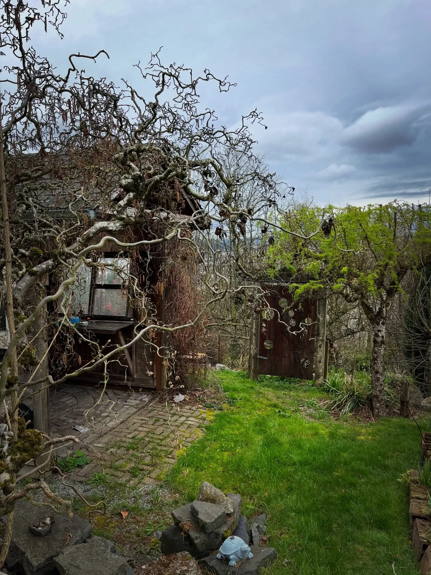 As promised, daytime photos of the magical little garden of the place we stayed in Seattle 😌

#secretgardens #southseattle #cottagecorevibes #magicalgarden #justbreath